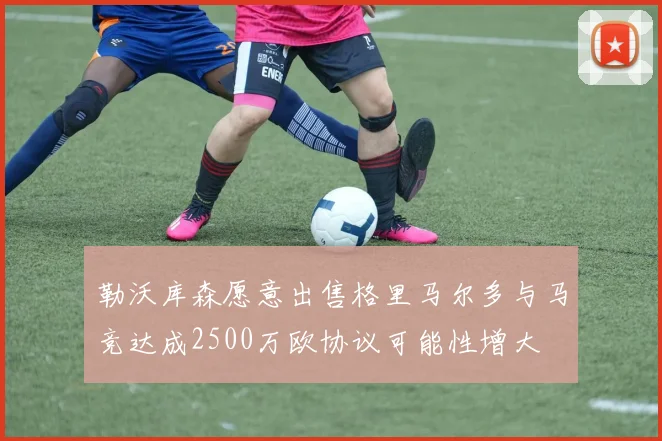 勒沃库森愿意出售格里马尔多与马竞达成2500万欧协议可能性增大