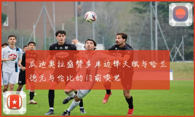 瓜迪奥拉盛赞多库边锋天赋与哈兰德无与伦比的门前嗅觉