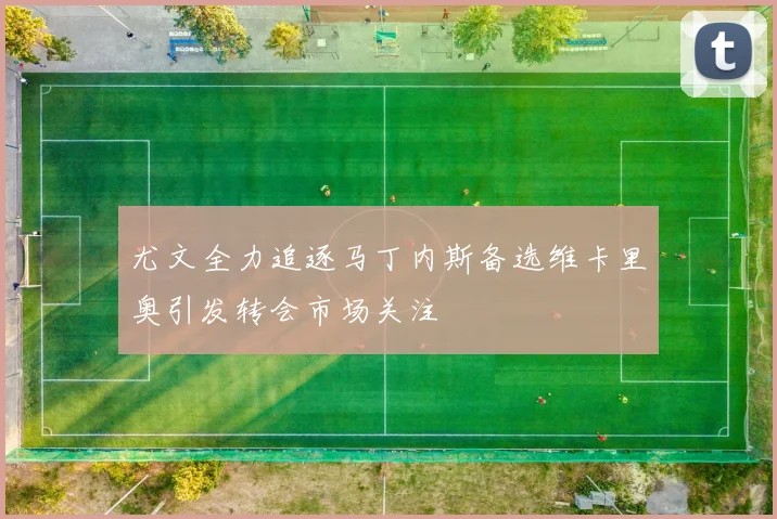 尤文全力追逐马丁内斯备选维卡里奥引发转会市场关注