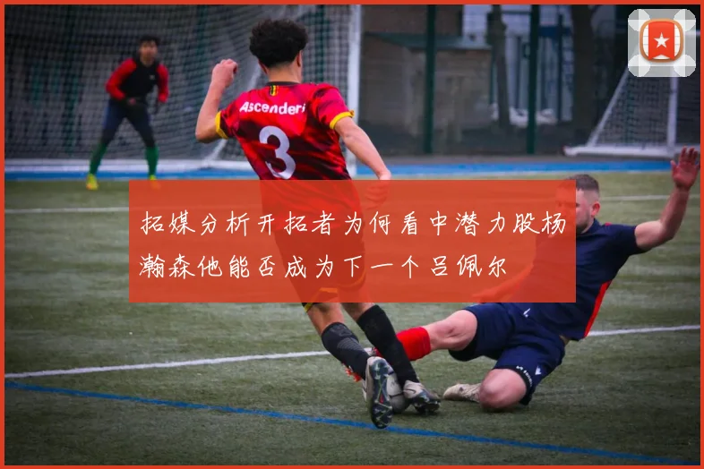 拓媒分析开拓者为何看中潜力股杨瀚森他能否成为下一个吕佩尔