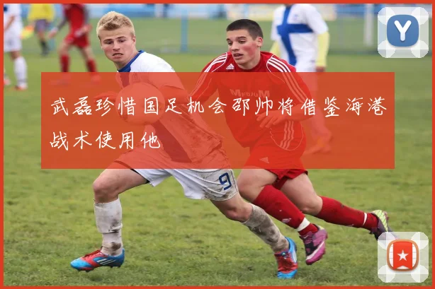 武磊珍惜国足机会邵帅将借鉴海港战术使用他